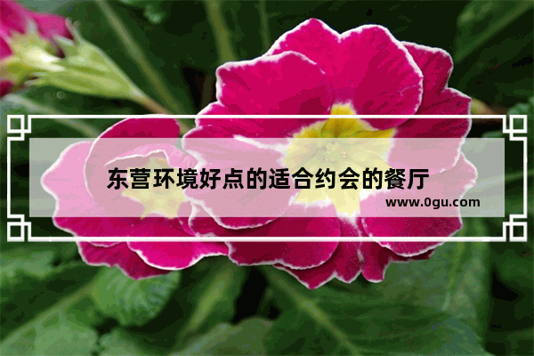 东营环境好点的适合约会的餐厅
