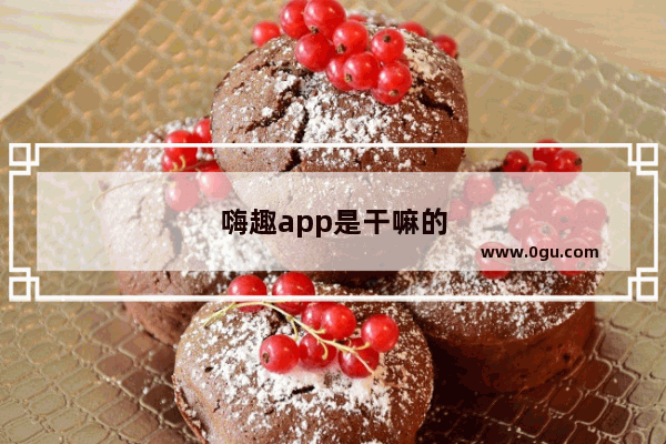 嗨趣app是干嘛的