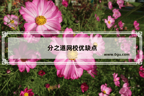 分之道网校优缺点