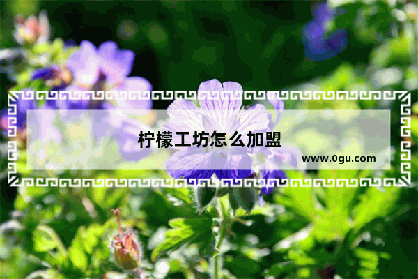 柠檬工坊怎么加盟