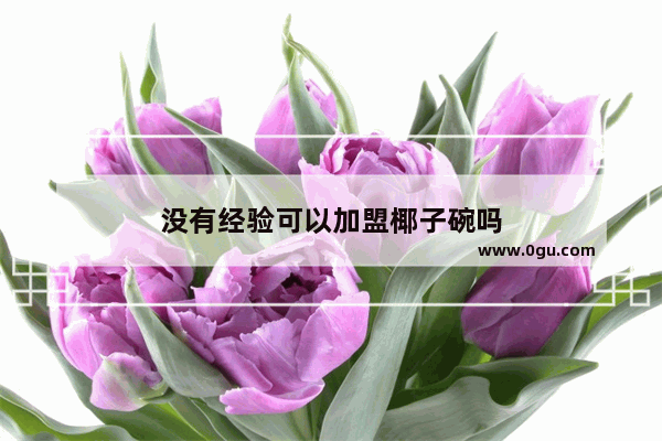 没有经验可以加盟椰子碗吗