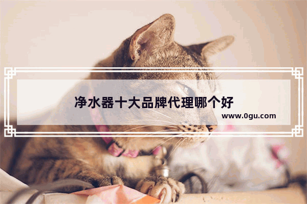 净水器十大品牌代理哪个好