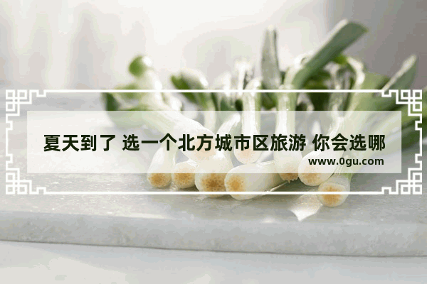 夏天到了 选一个北方城市区旅游 你会选哪个
