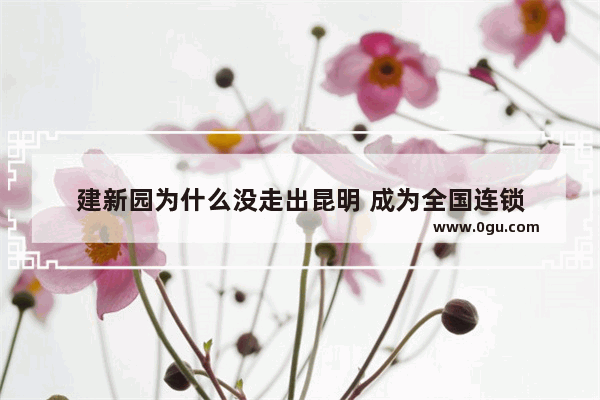 建新园为什么没走出昆明 成为全国连锁