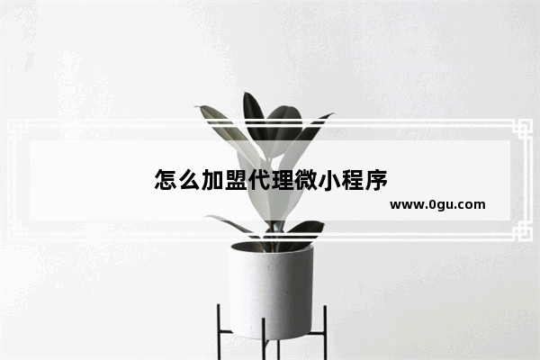 怎么加盟代理微小程序