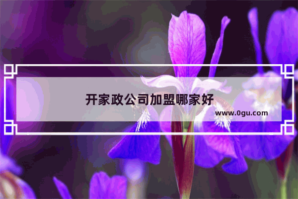 开家政公司加盟哪家好