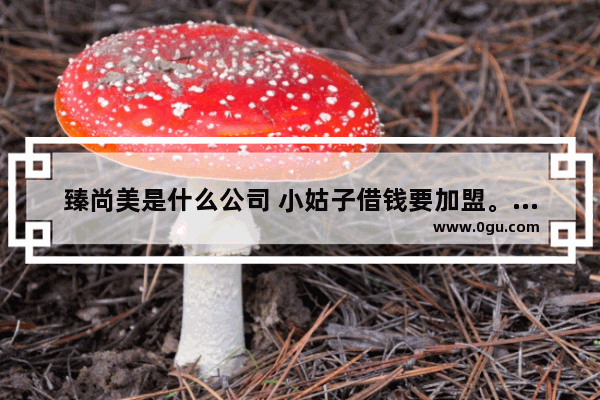 臻尚美是什么公司 小姑子借钱要加盟。拉都拉不住 有建议吗