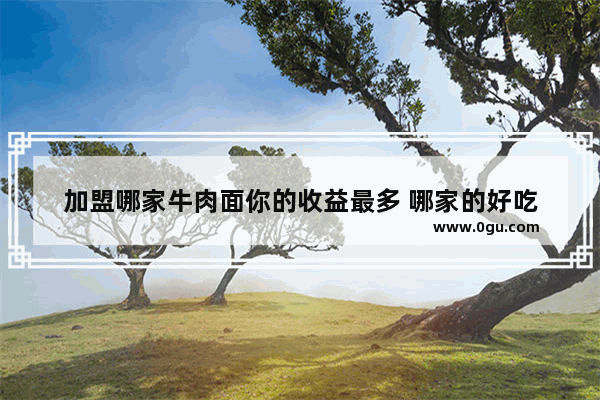 加盟哪家牛肉面你的收益最多 哪家的好吃