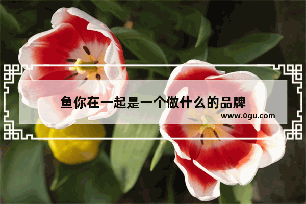 鱼你在一起是一个做什么的品牌