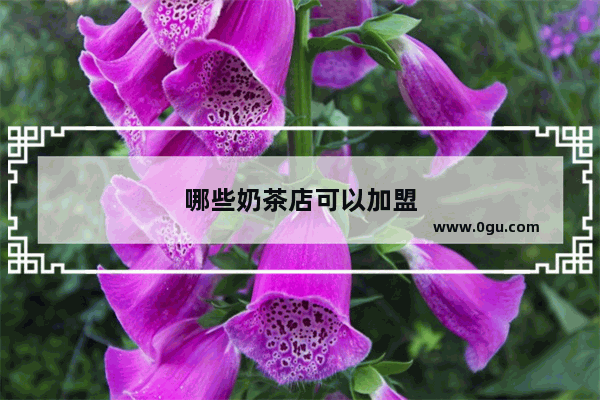 哪些奶茶店可以加盟