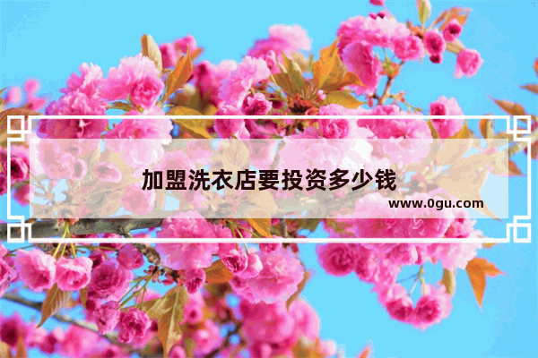 加盟洗衣店要投资多少钱