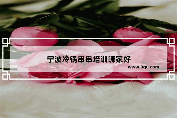 宁波冷锅串串培训哪家好