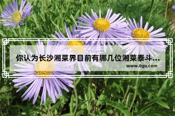 你认为长沙湘菜界目前有哪几位湘菜泰斗？有哪些你认为美味的湘菜推荐