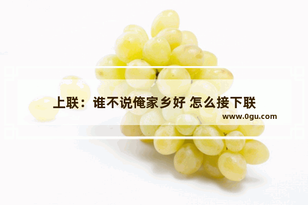 上联：谁不说俺家乡好 怎么接下联