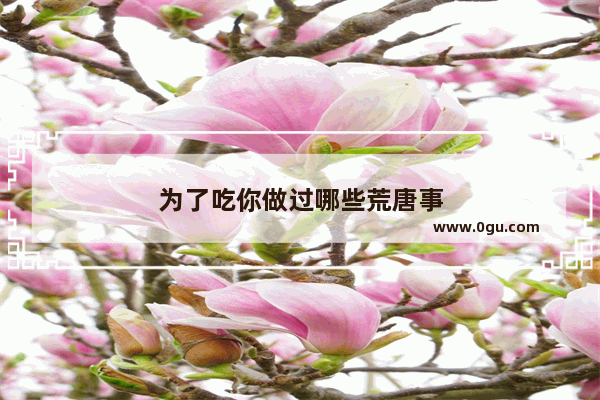为了吃你做过哪些荒唐事