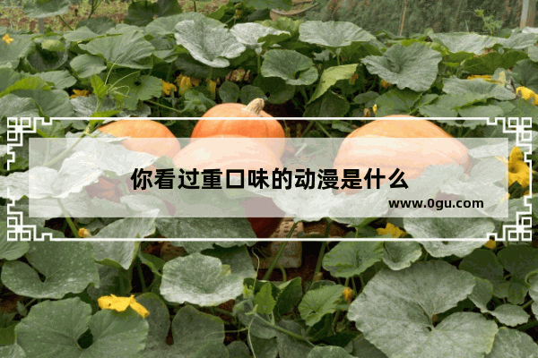 你看过重口味的动漫是什么