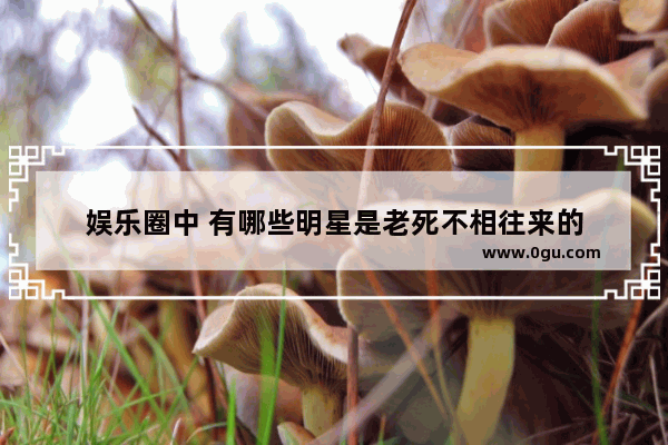 娱乐圈中 有哪些明星是老死不相往来的
