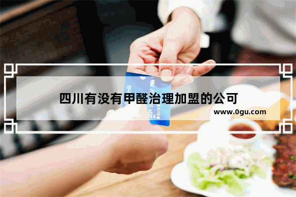 四川有没有甲醛治理加盟的公可