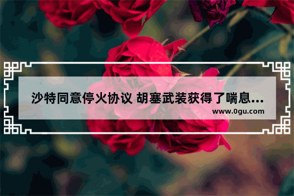 沙特同意停火协议 胡塞武装获得了喘息时间吗
