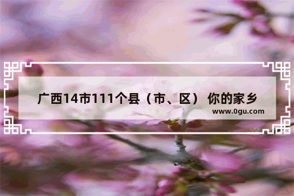 广西14市111个县（市、区） 你的家乡都有哪些农特产品