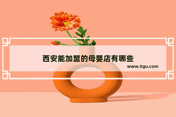 西安能加盟的母婴店有哪些