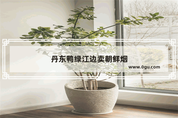 丹东鸭绿江边卖朝鲜烟