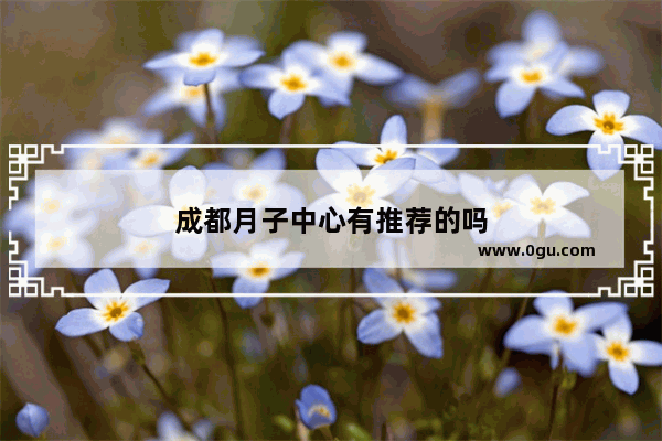 成都月子中心有推荐的吗