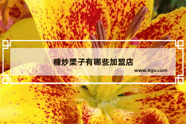 糖炒栗子有哪些加盟店