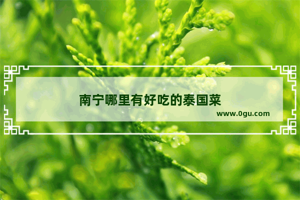 南宁哪里有好吃的泰国菜