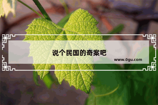 说个民国的奇案吧