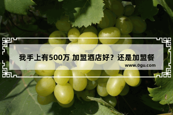 我手上有500万 加盟酒店好？还是加盟餐饮店好