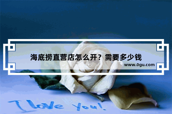 海底捞直营店怎么开？需要多少钱