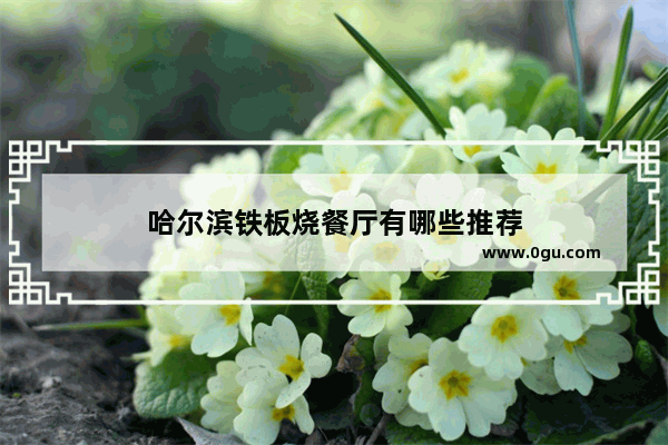 哈尔滨铁板烧餐厅有哪些推荐