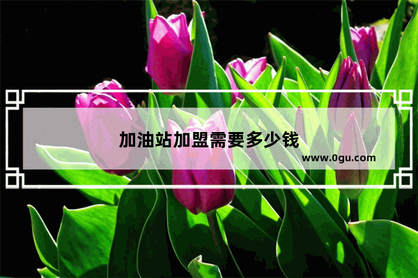 加油站加盟需要多少钱