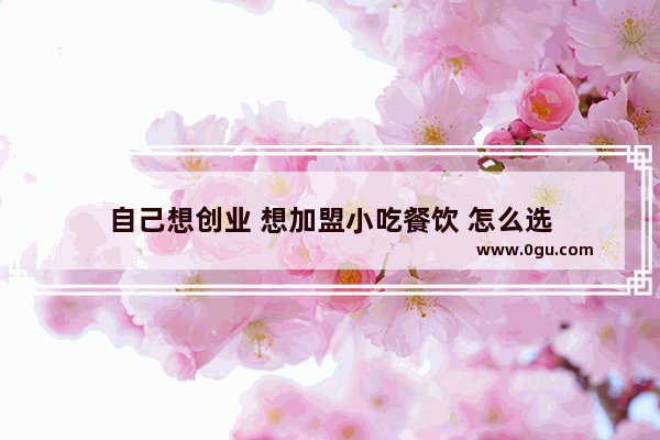 自己想创业 想加盟小吃餐饮 怎么选