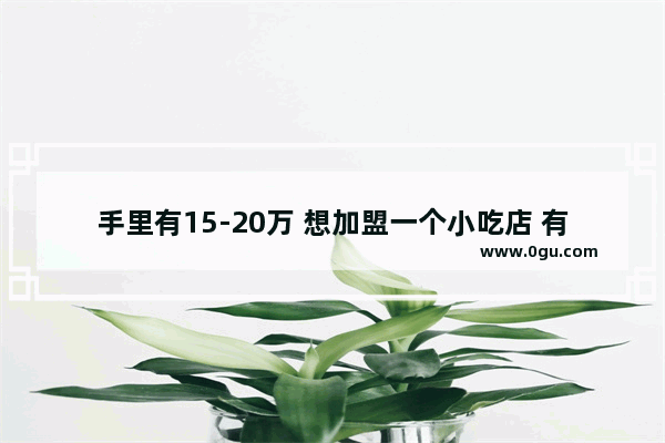 手里有15-20万 想加盟一个小吃店 有没有好的推荐？谢谢