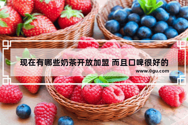 现在有哪些奶茶开放加盟 而且口啤很好的