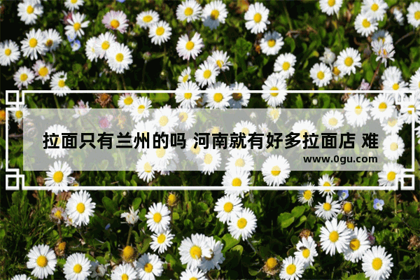 拉面只有兰州的吗 河南就有好多拉面店 难道都是学兰州拉面