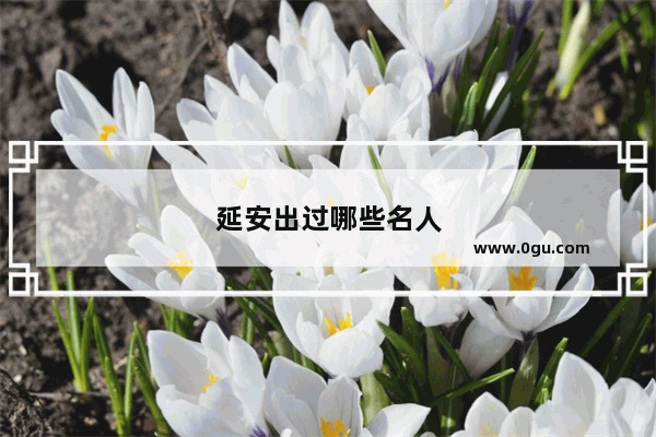 延安出过哪些名人