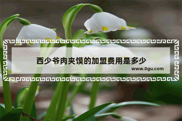 西少爷肉夹馍的加盟费用是多少