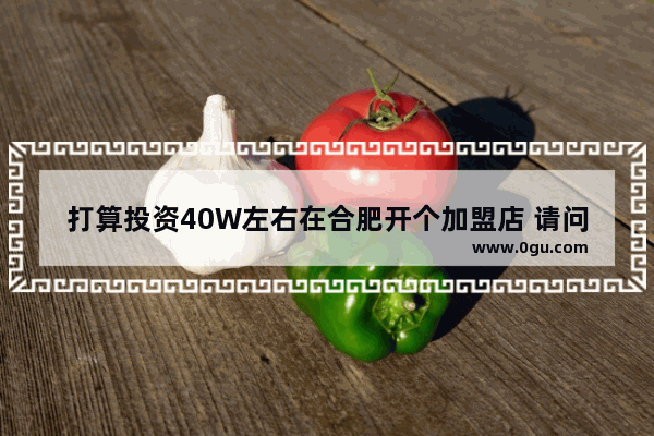 打算投资40W左右在合肥开个加盟店 请问做什么比较适合呢