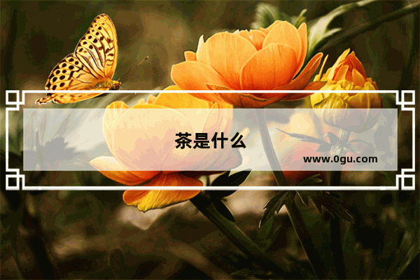 茶是什么