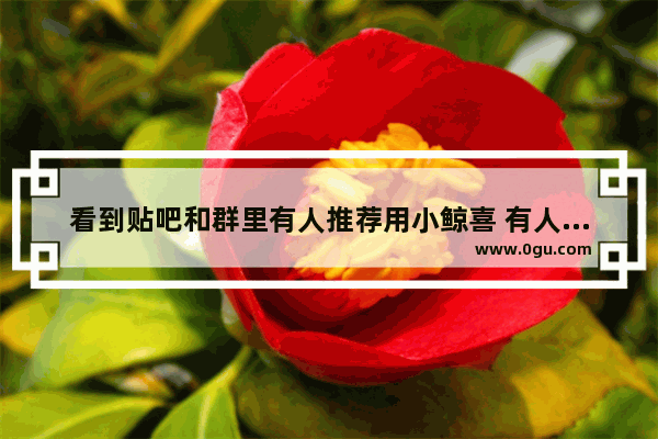 看到贴吧和群里有人推荐用小鲸喜 有人知道这是什么吗