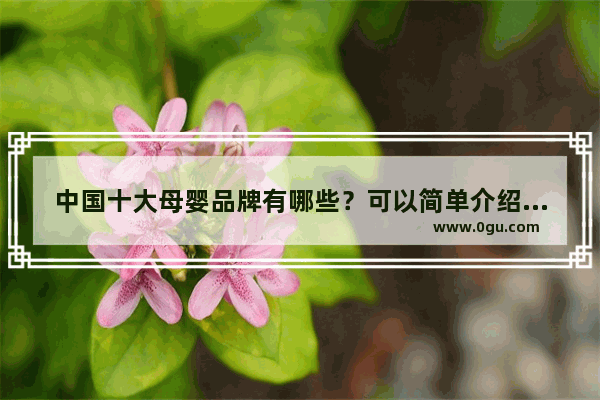中国十大母婴品牌有哪些？可以简单介绍下吗