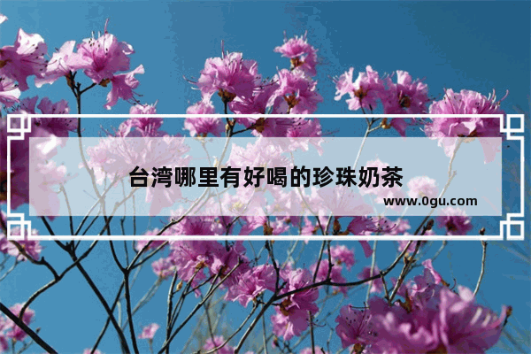 台湾哪里有好喝的珍珠奶茶