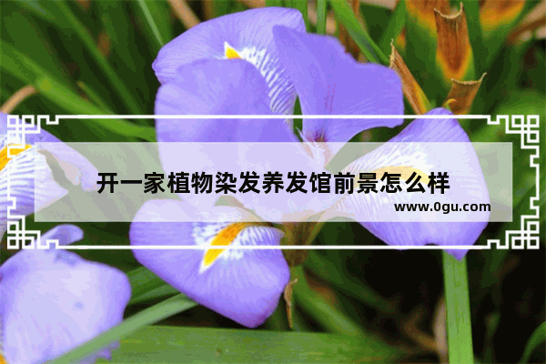 开一家植物染发养发馆前景怎么样