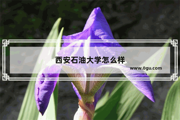 西安石油大学怎么样
