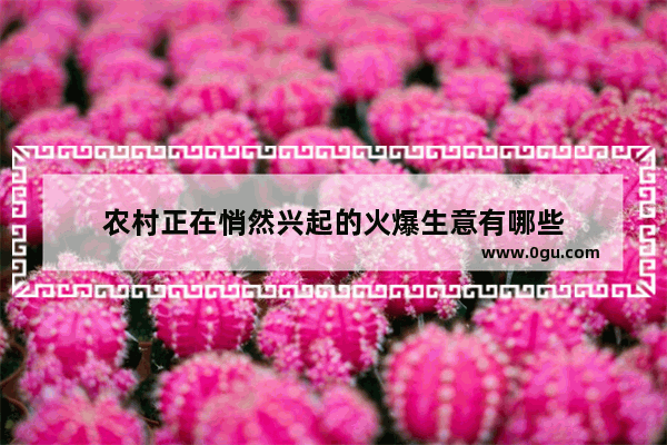 农村正在悄然兴起的火爆生意有哪些