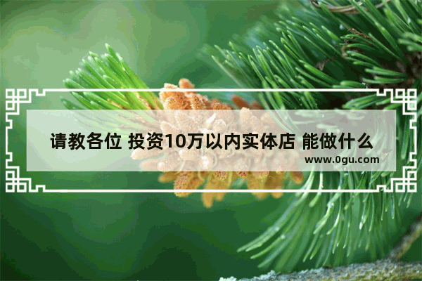 请教各位 投资10万以内实体店 能做什么