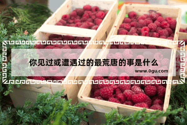 你见过或遭遇过的最荒唐的事是什么